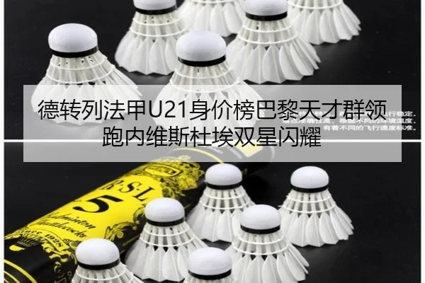 德转列法甲U21身价榜巴黎天才群领跑内维斯杜埃双星闪耀